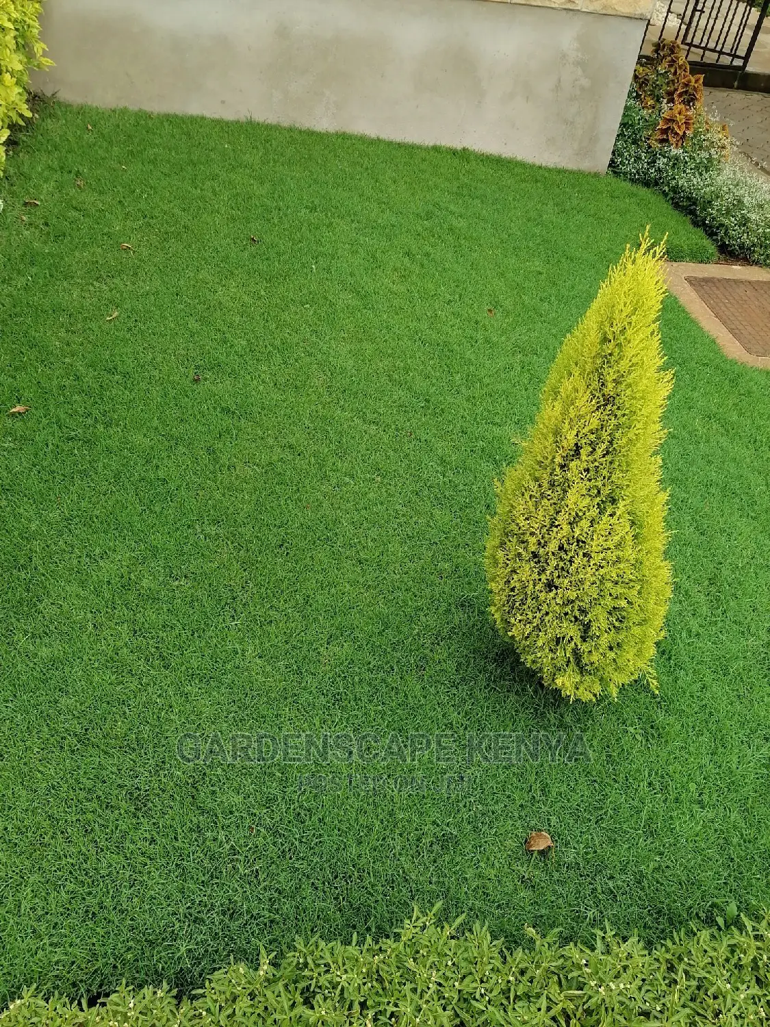 Garden Maintenance Services