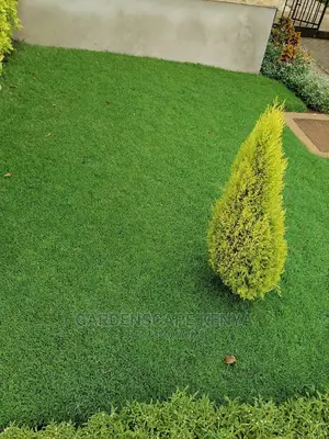 Garden Maintenance Services