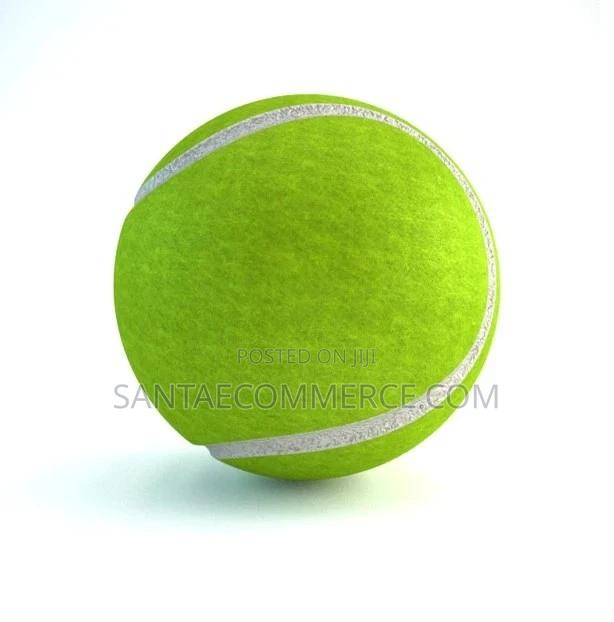 Adults, Pets, Kids Toy Training Tennis Ball