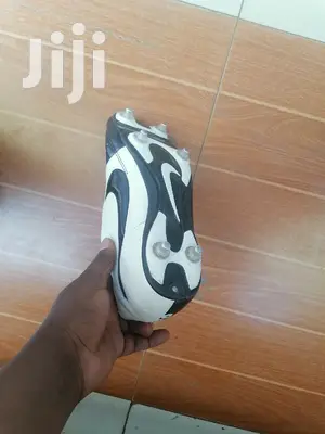 Boots Nuts or Stands