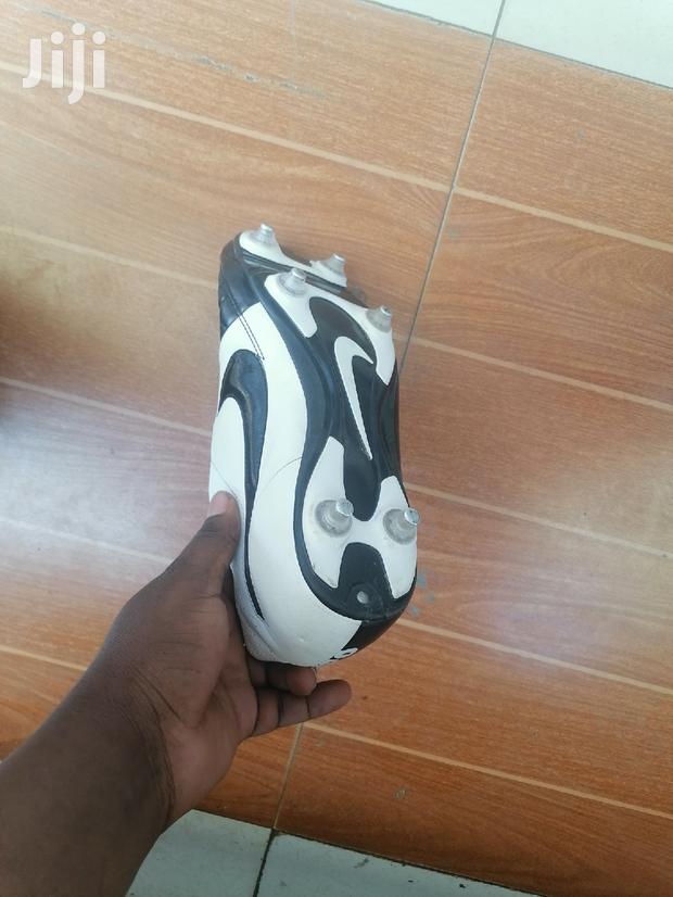 Boots Nuts or Stands - thumbnail 2