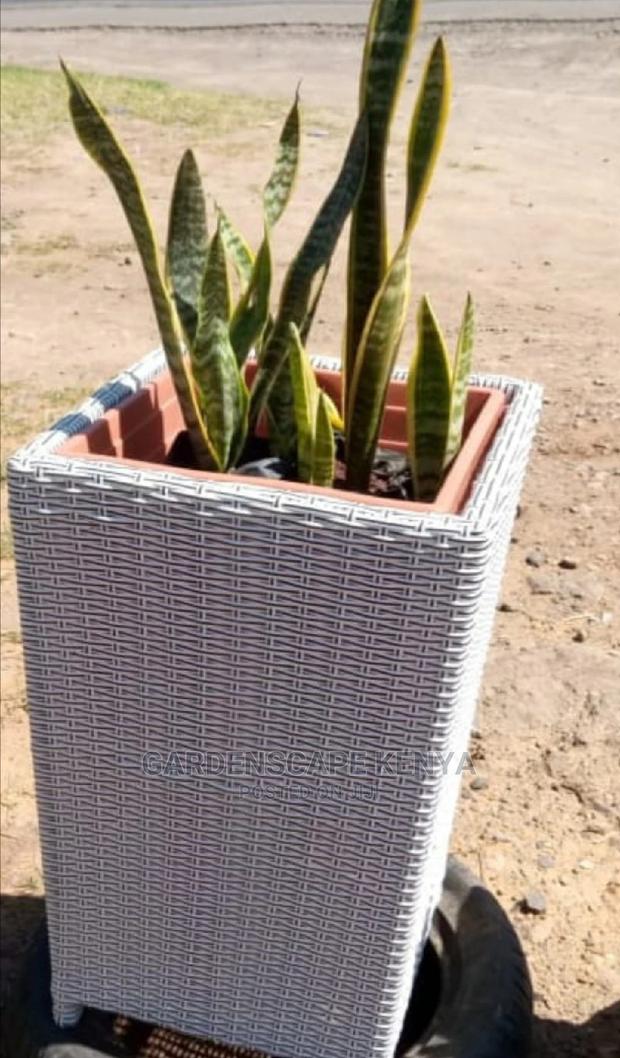 Single Rattan Flower Vase - main view