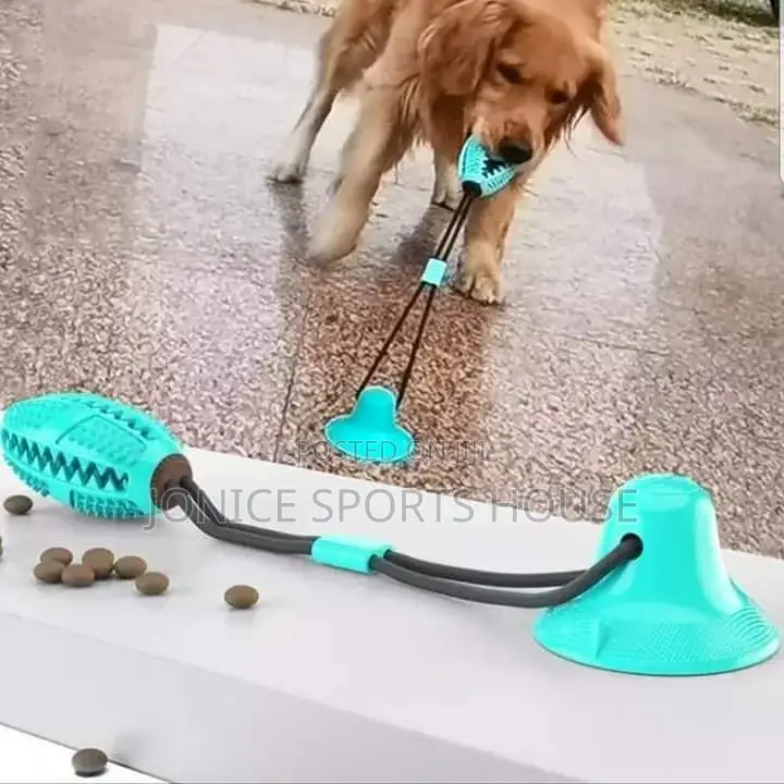 Dog Play Toys