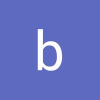 Bruce Sande logo
