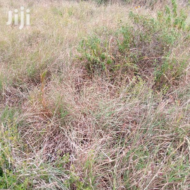 30 Acres Farming Land Lentoko - thumbnail 7