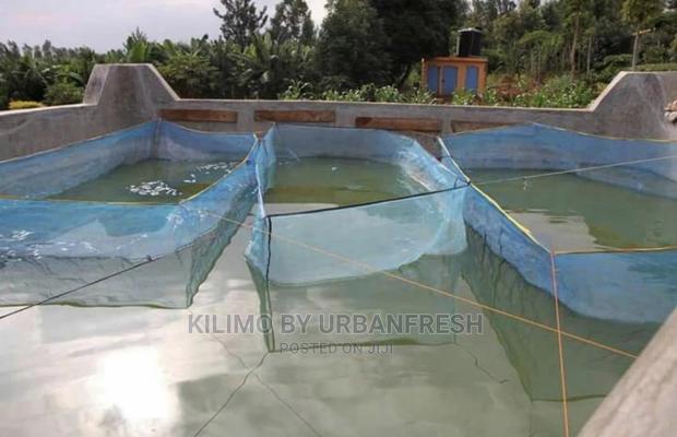 Hamper Nets - main view