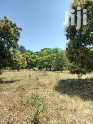For Sale 5 Acre Agricultural Land Kikambala