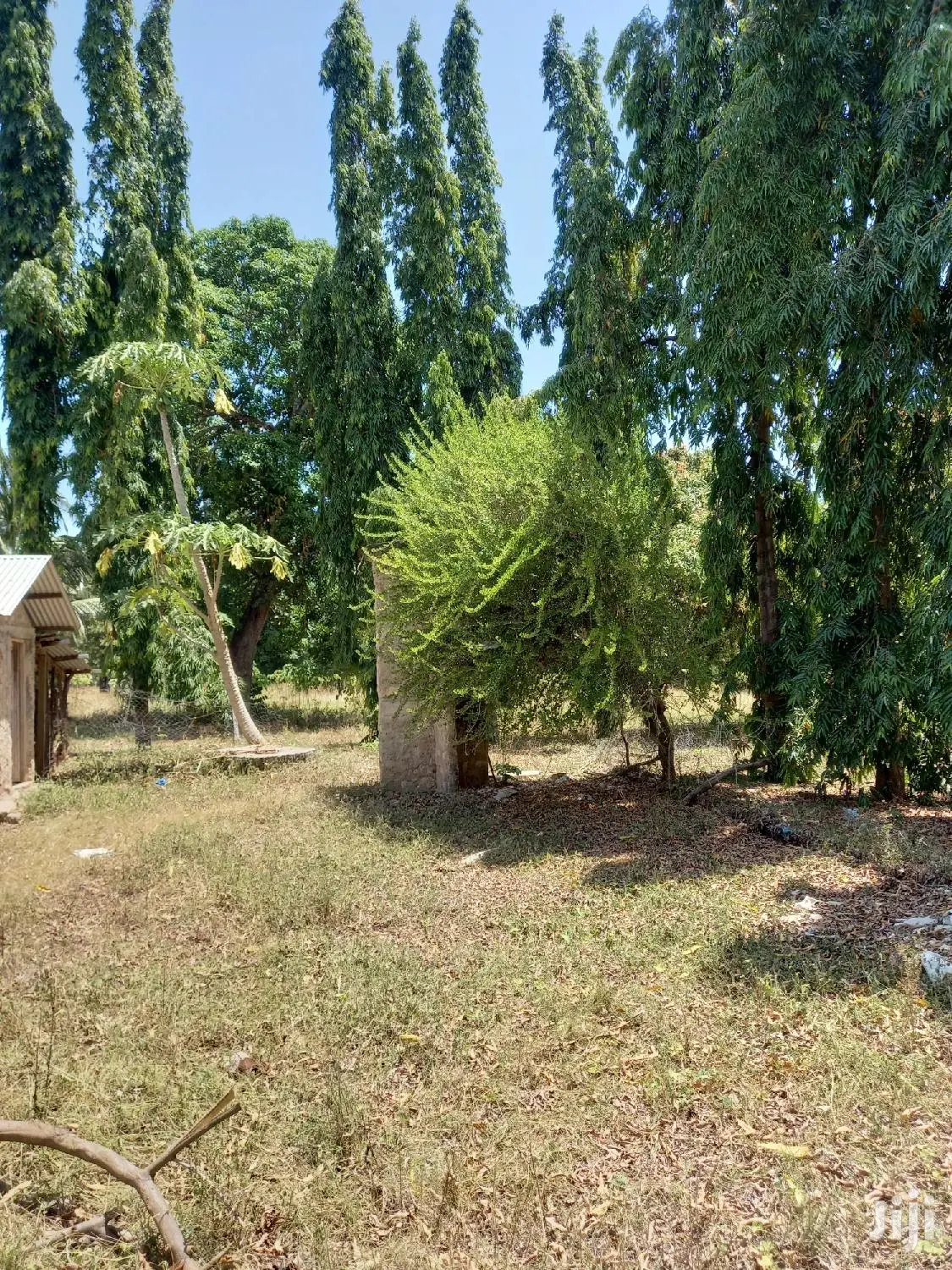 For Sale 5 Acre Agricultural Land Kikambala