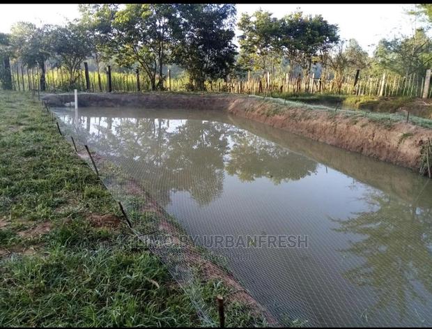 Birdnets 200sqm / 300sqm / 600sqm for Fruit Trees or Ponds - main view
