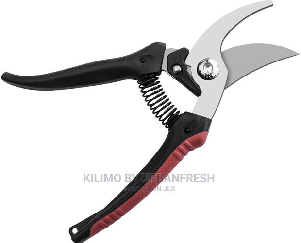 Secateurs : Prunners Cut and Hold Available. - main view