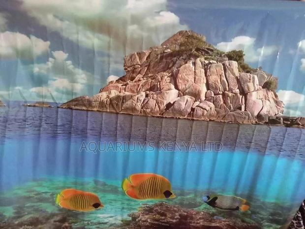 Aquarium Background - main view