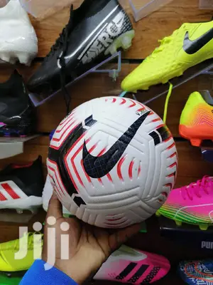 Premier League Football Balls