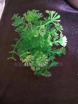 Aquarium Artificial Plants - thumbnail 2