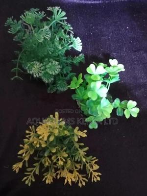 Aquarium Accessories, Plants . - thumbnail 2