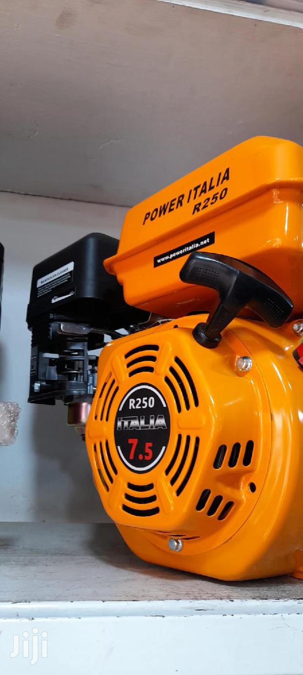 Power Italia R250 Petrol Engine 7.5HP - thumbnail 2
