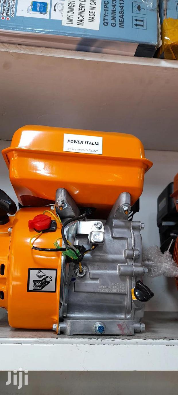 Power Italia R250 Petrol Engine 7.5HP - main view