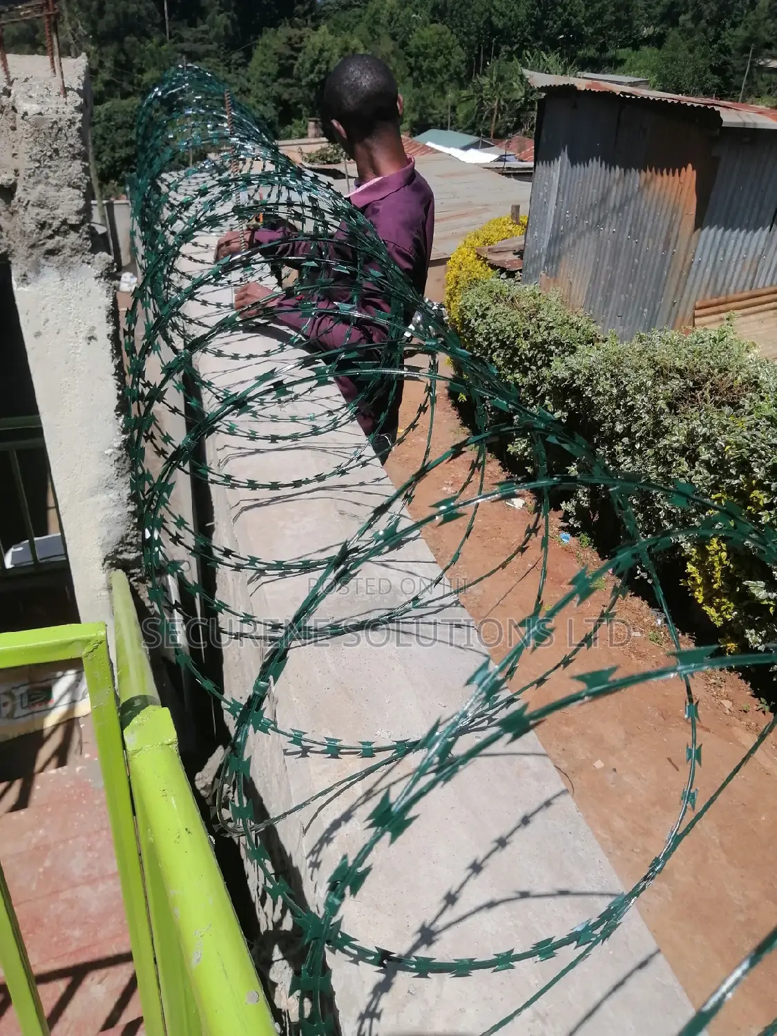 450 Mm Doulble Galvanised Green Razor Wire
