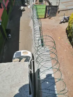 450 Mm Doulble Galvanised Green Razor Wire
