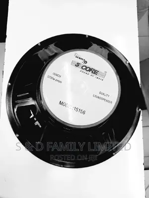 5 Core 15156 15 Inches Naked Speaker