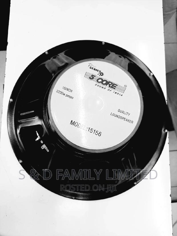 5 Core 15156 15 Inches Naked Speaker