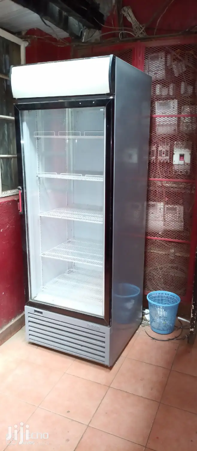 Display Fridge 680L