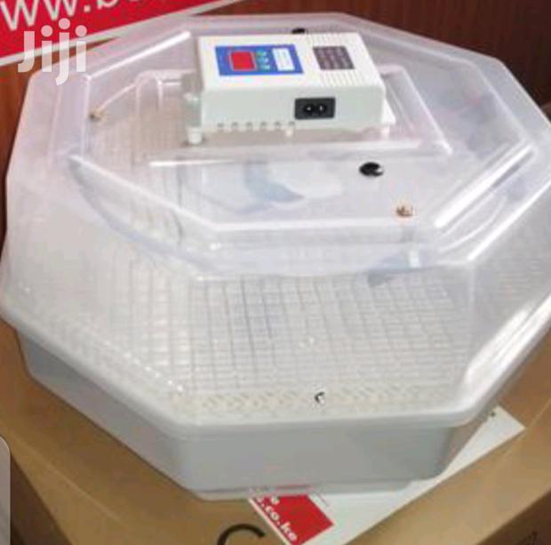 60 Egg Incubator Fast Hatched - main view