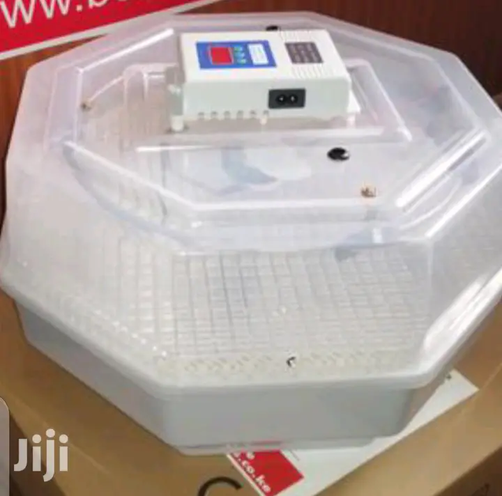 60 Egg Incubator Fast Hatched