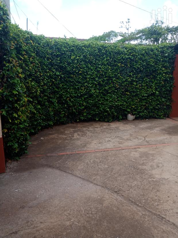 Four Bedrooms Plus Sq South C - thumbnail 19