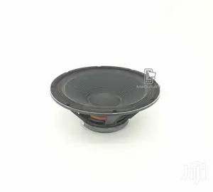 Jiabailun JBN 15 Inch Naked Speaker