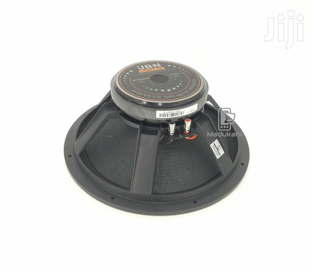 Jiabailun JBN 15 Inch Naked Speaker