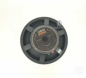 Jiabailun JBN 15 Inch Naked Speaker