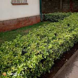 3bdrm Apartment in Nyayo Estate, Embakasi for sale
