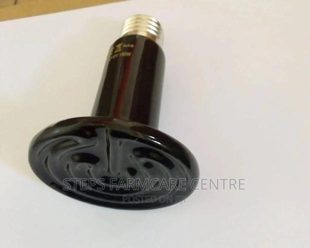 150 Watts Ceramic Heater Bulbs for Brooding - main view