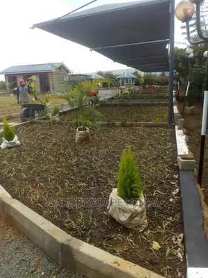 Garden Maintenance Services