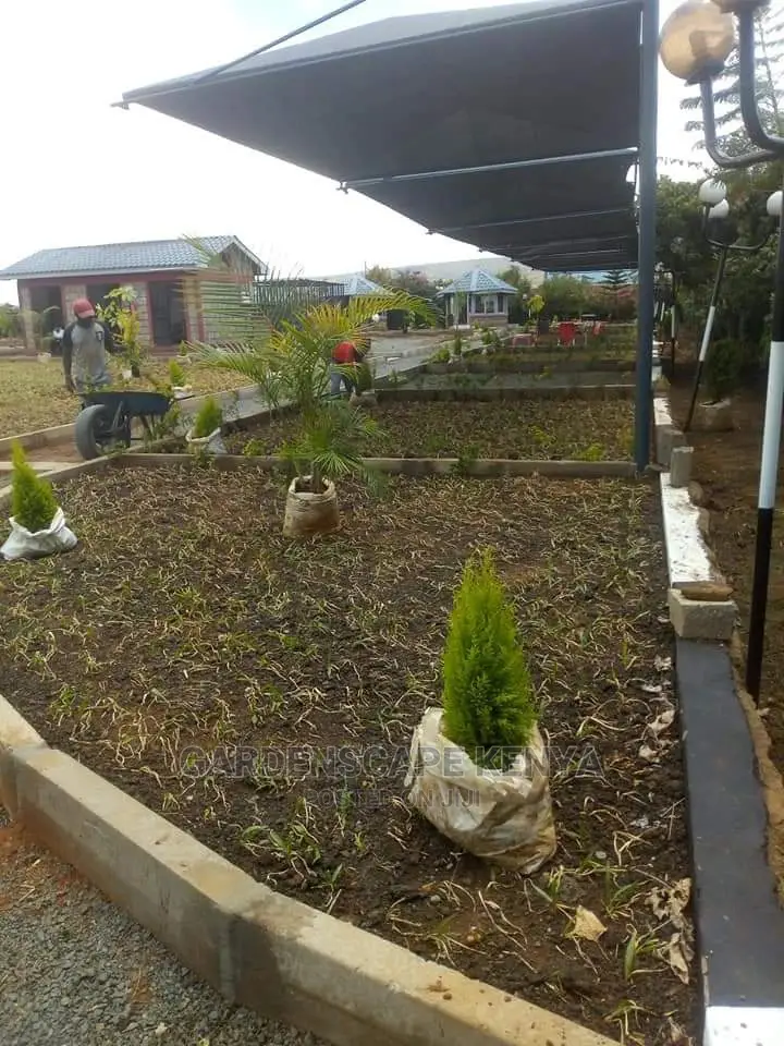Garden Maintenance Services