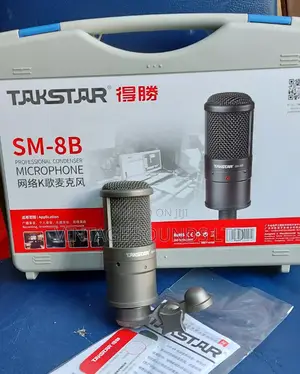 Takstar Sm8b Professional Condenser Microphone.