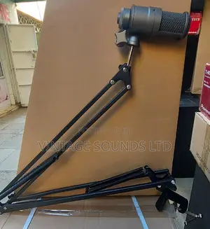 Takstar Sm8b Professional Condenser Microphone.
