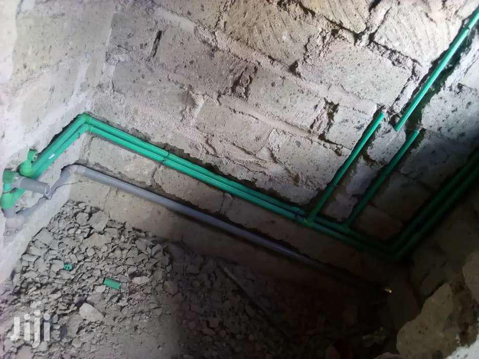 Professional Plumber