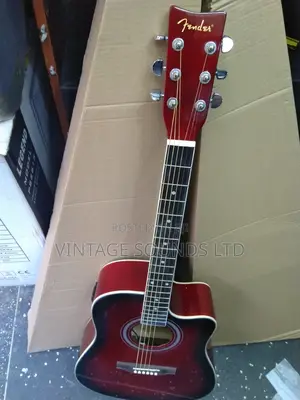 Fender Semi Electric Guitar