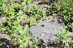 1 Acre on Sale Tezo Kilifi