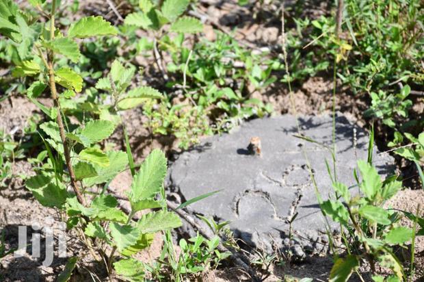 1 Acre on Sale Tezo Kilifi - thumbnail 5