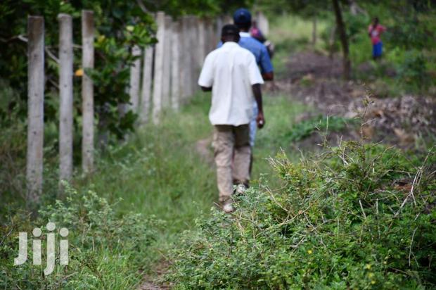 1 Acre on Sale Tezo Kilifi - thumbnail 7