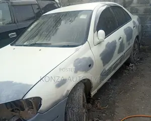 Car Paint Work
