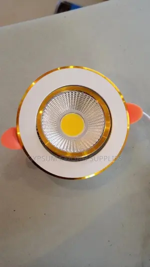 Gypsum Ceiling Lights Downlight