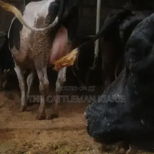 Lactating Pedigrees