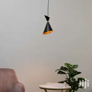 Dual Cone Pendant Light