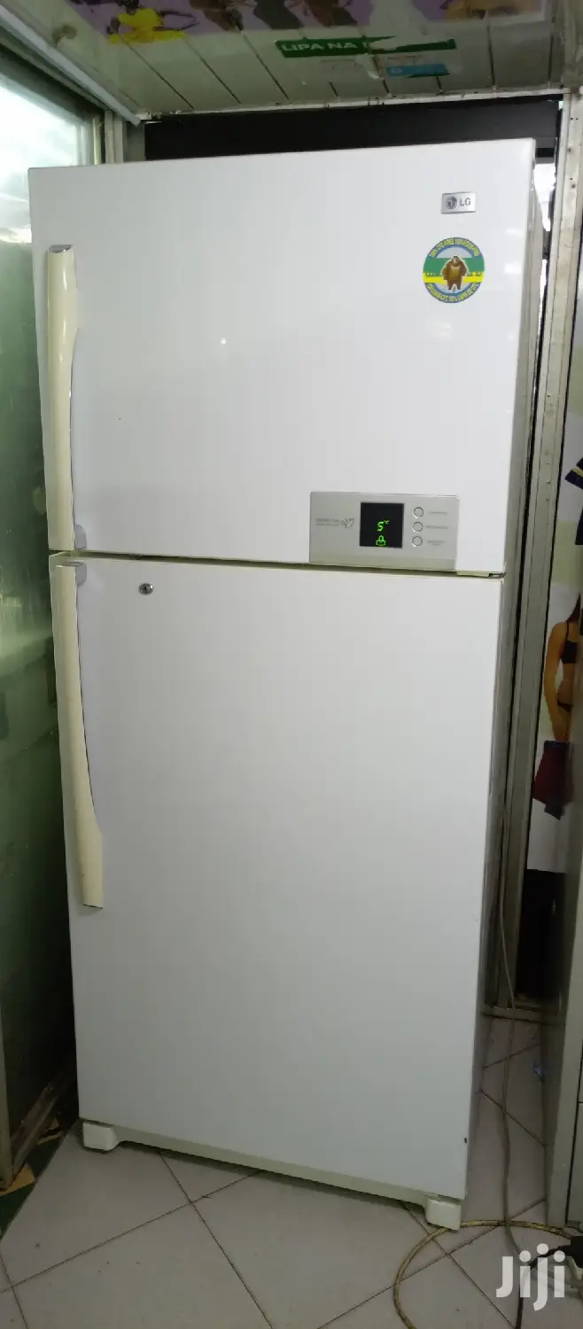 LG 500L Double Door