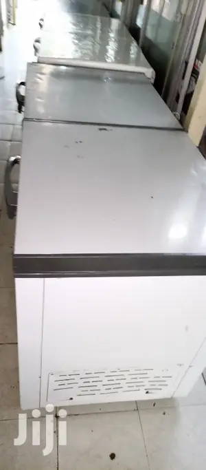 Double Door Freezer