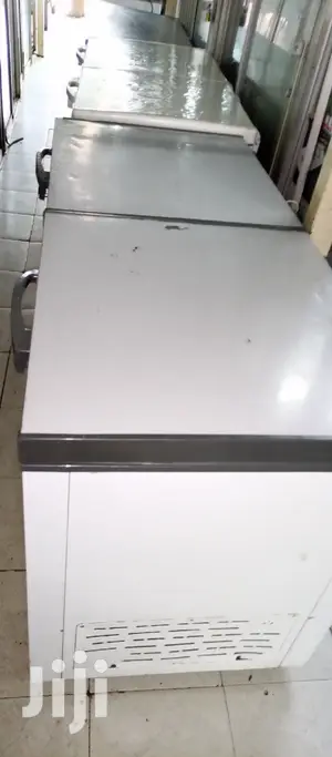 Double Door Freezer