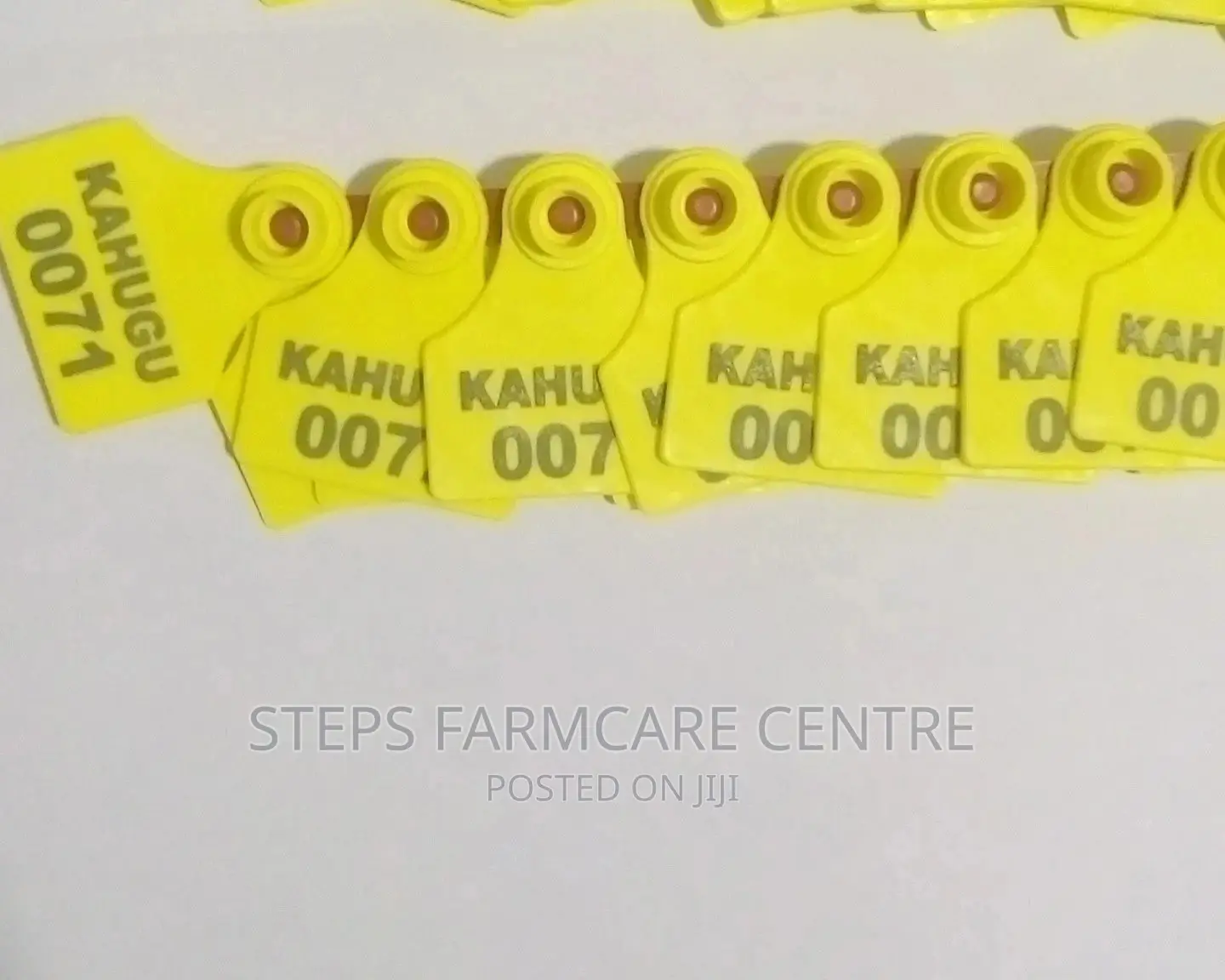 100 PCS Customized Ear Tags for Cows ,Goats and Pigs .
